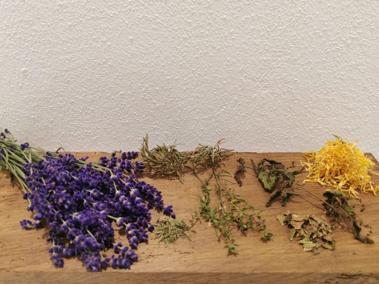 Bunte getrocknete Kräuter und Blumen, auf einem Holzbrett angeordnet. Bunte getrocknete Kräuter und Blumen, auf einem Holzbrett angeordnet.